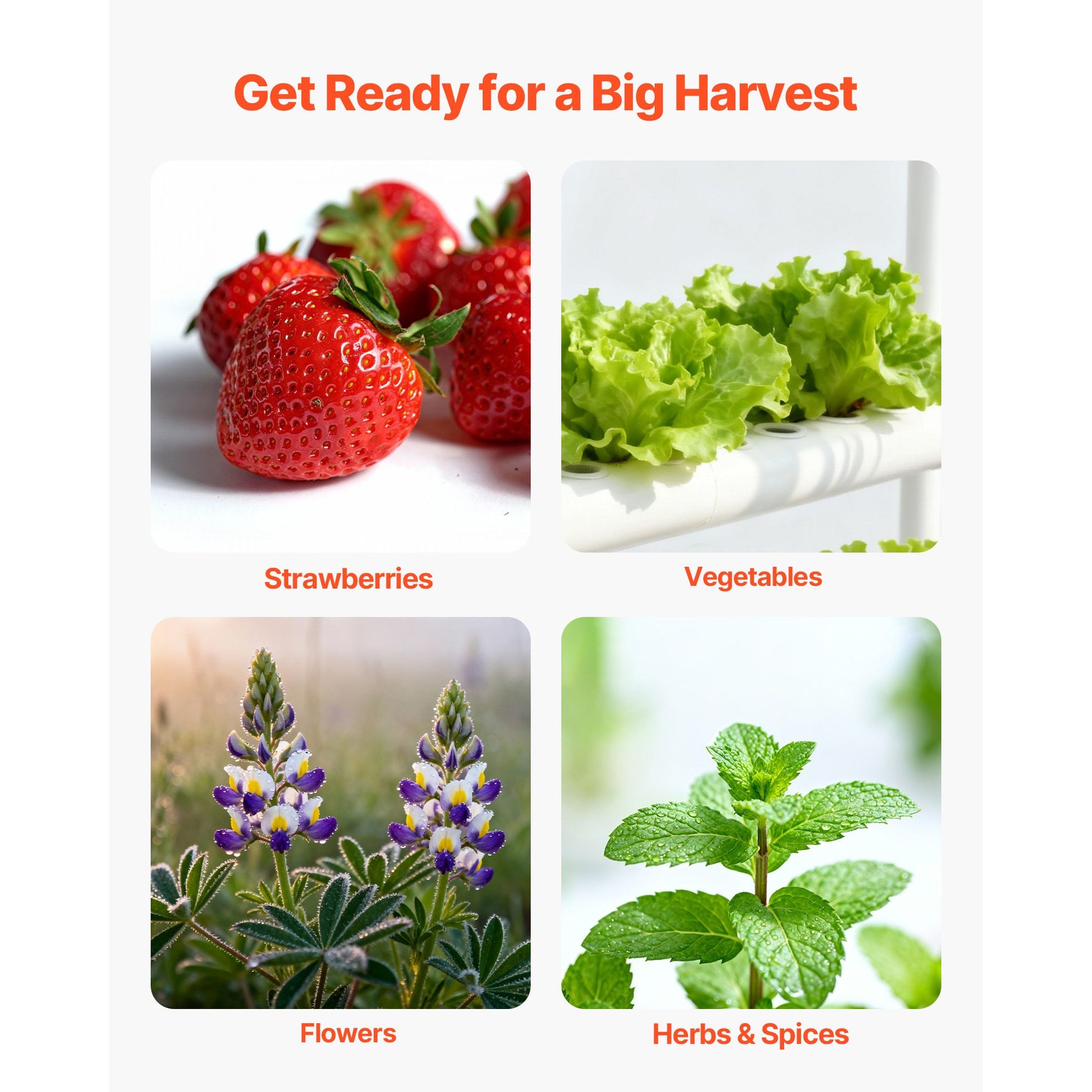537221751